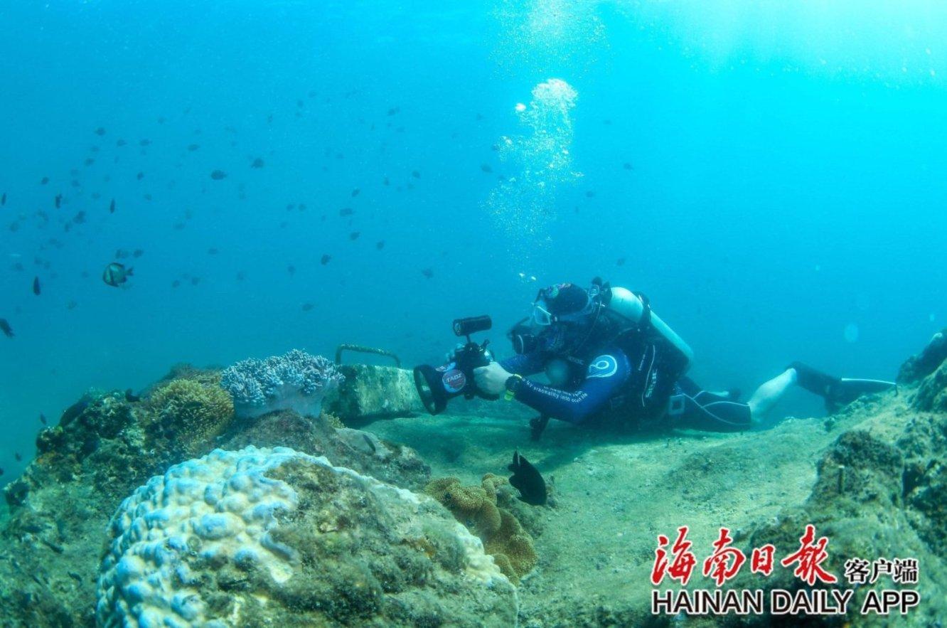 暴走小飞机