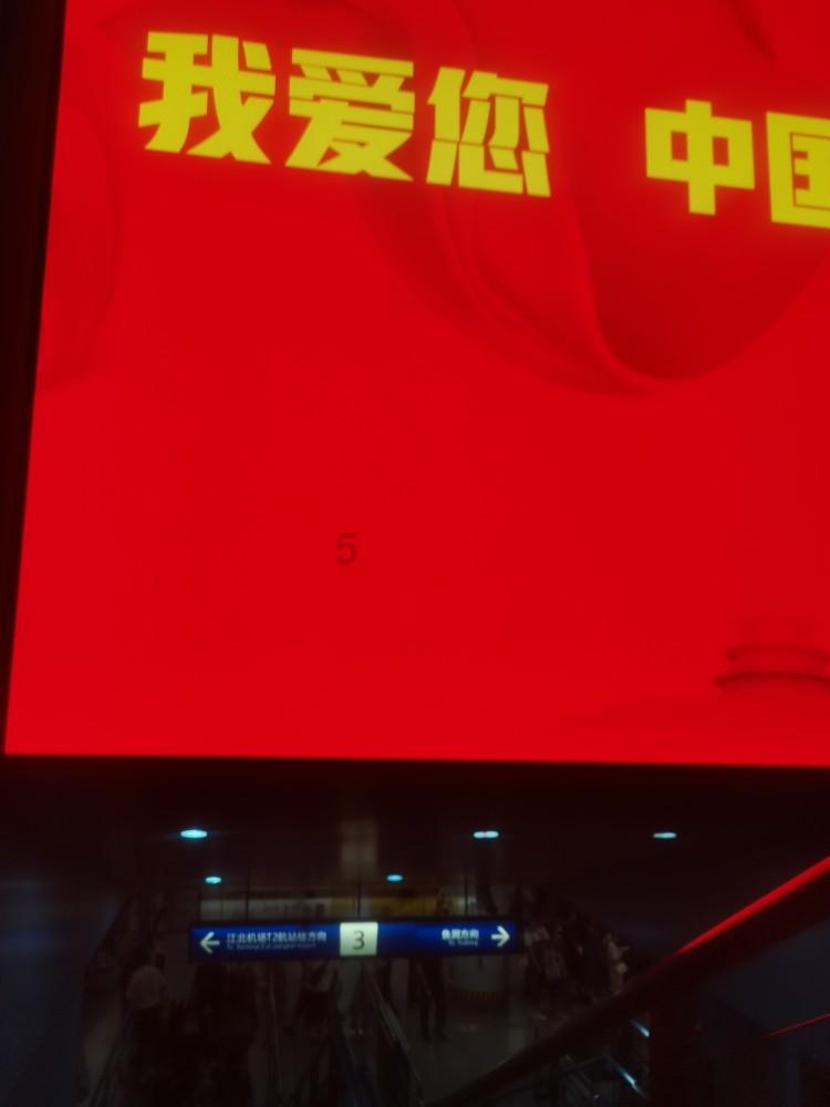 石斛扭出“枫”景图